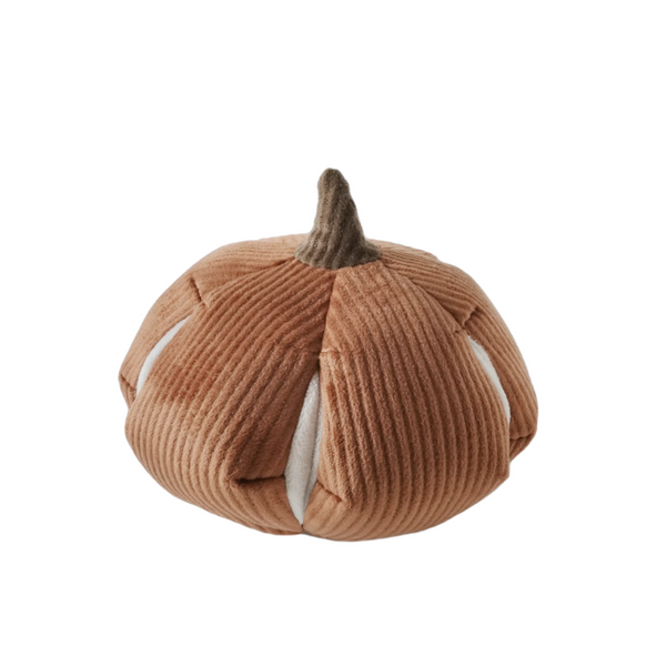 Cinderella Pumpkin - Squeaky & Snuffle