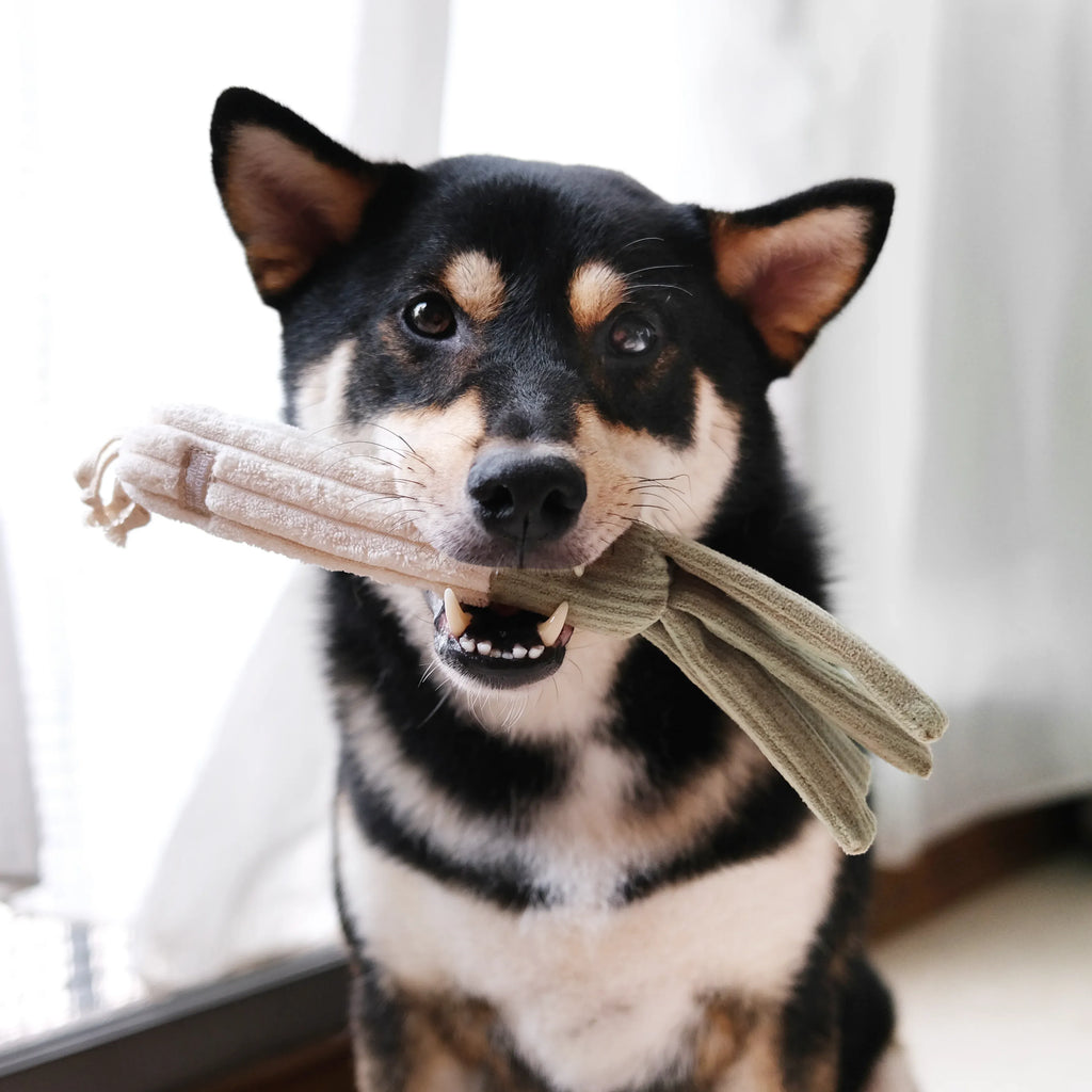 Corn & Leek Set - Snuffle + Fetch Play