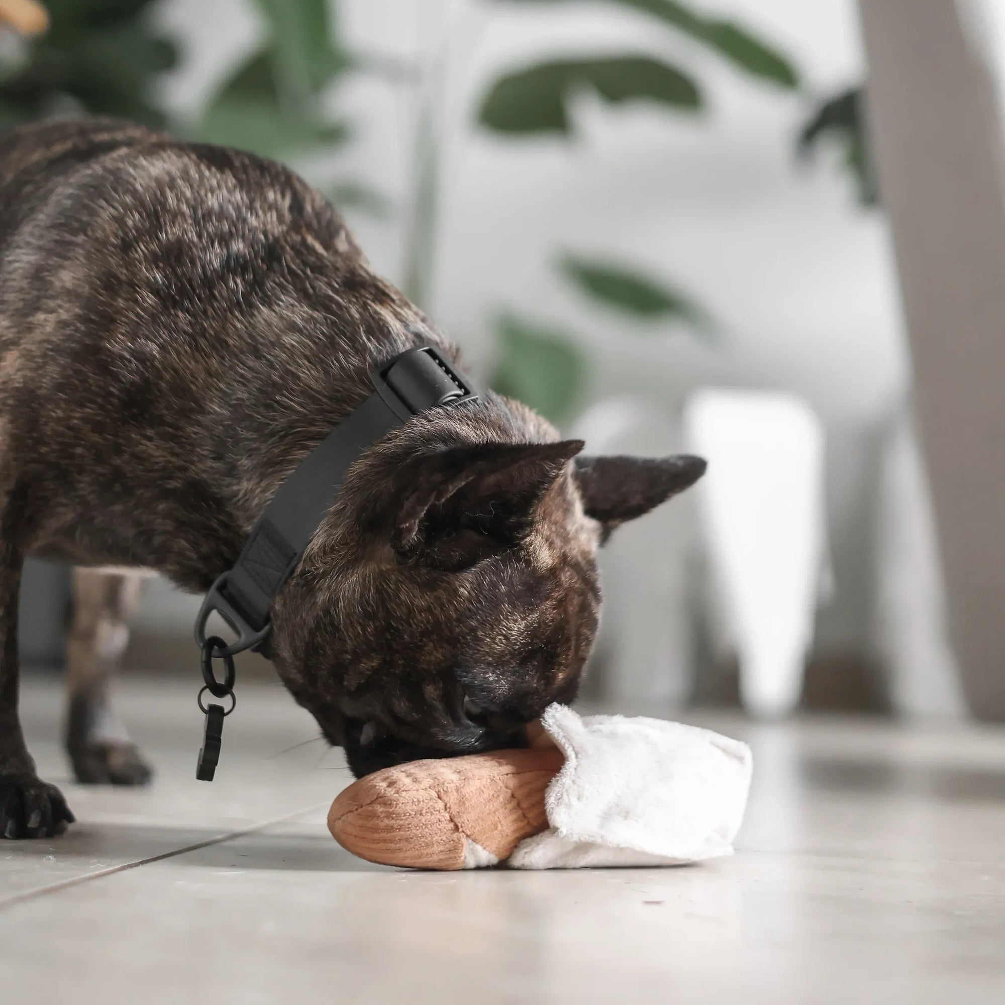 Mini Baguette - Crinkly Paper Bag + Squeaky