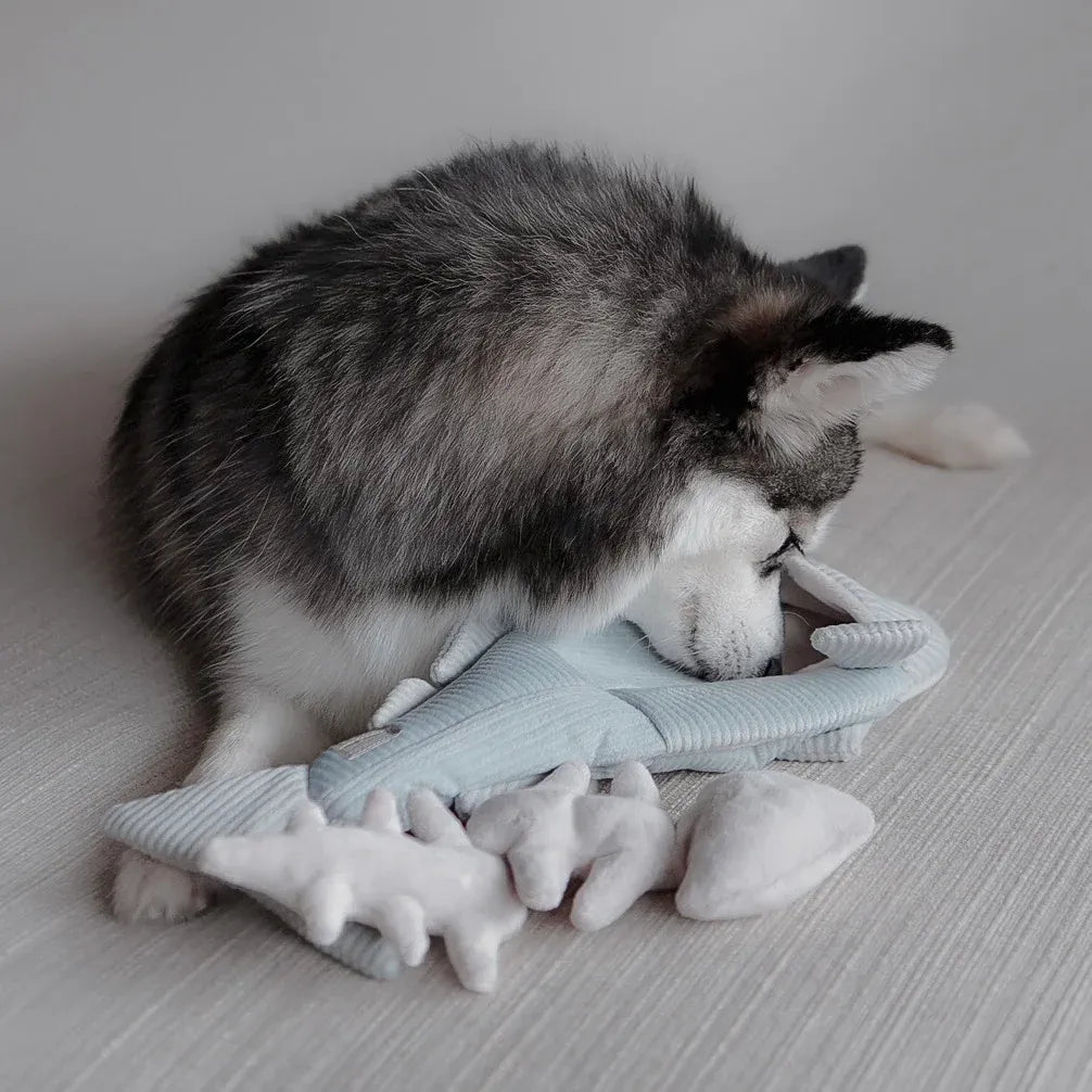 Trout - 2 in 1 Burrow + Snuffle