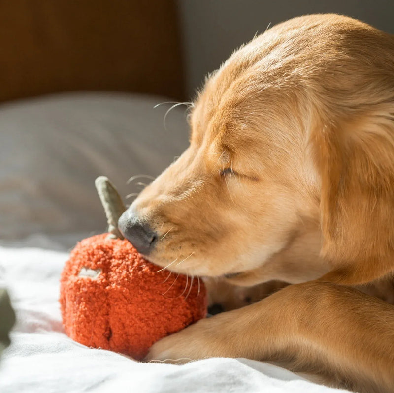 Red Pepper - Squeaky & Snuffle