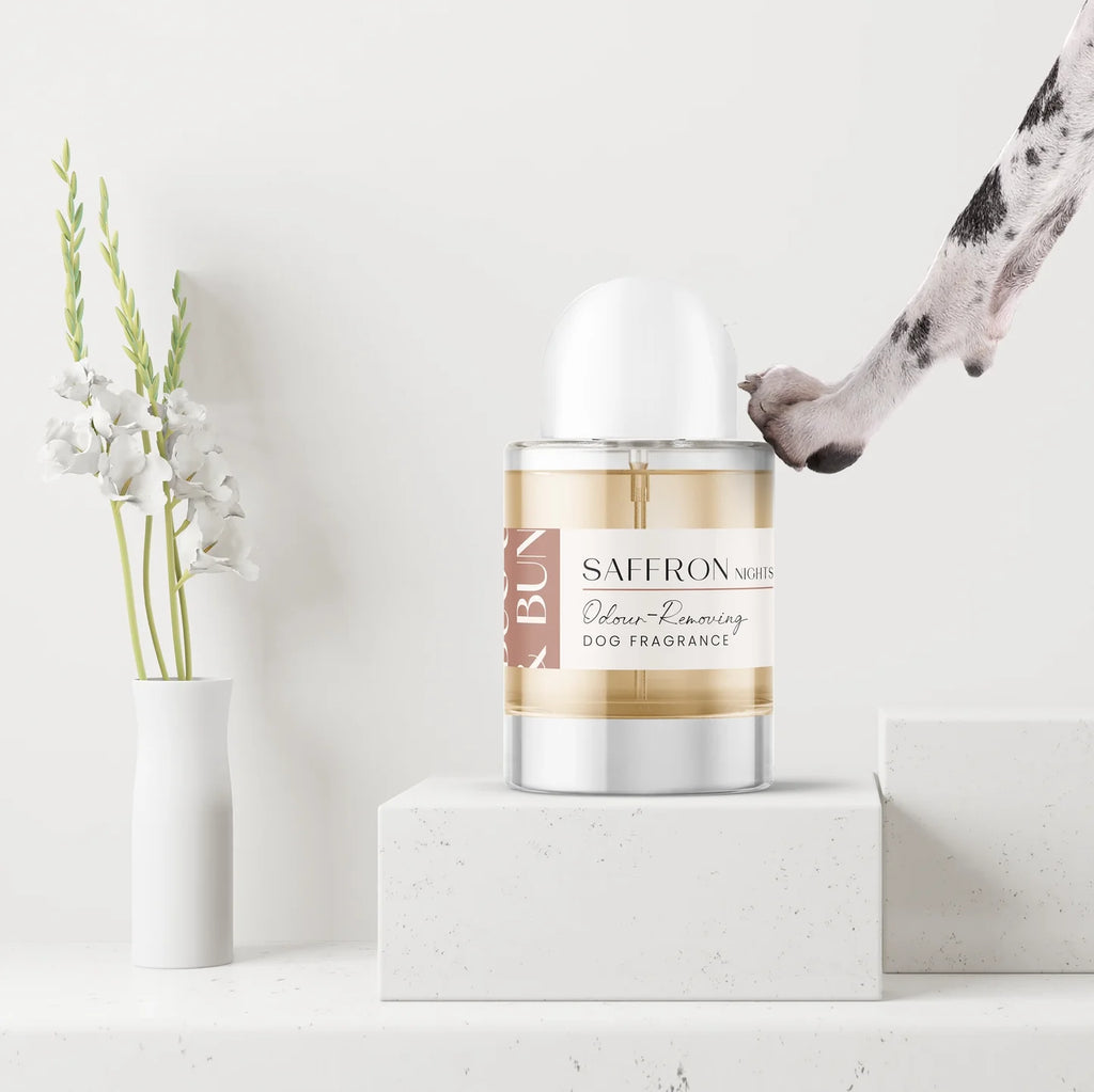 Saffron Night Dog Fragrance - Amber, Leather & Warm Spice