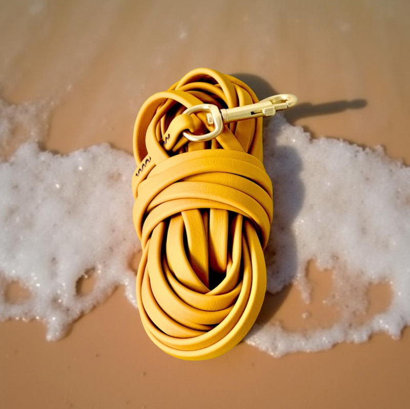 Cheesecake Recall Lead 9m - Waterproof Smellproof Long Line