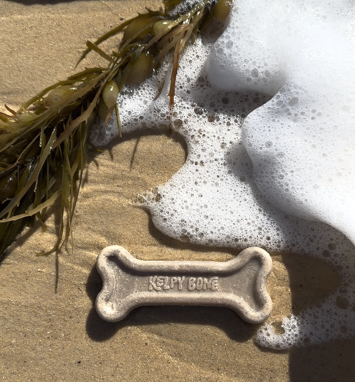 Natural Seaweed Dog Bone