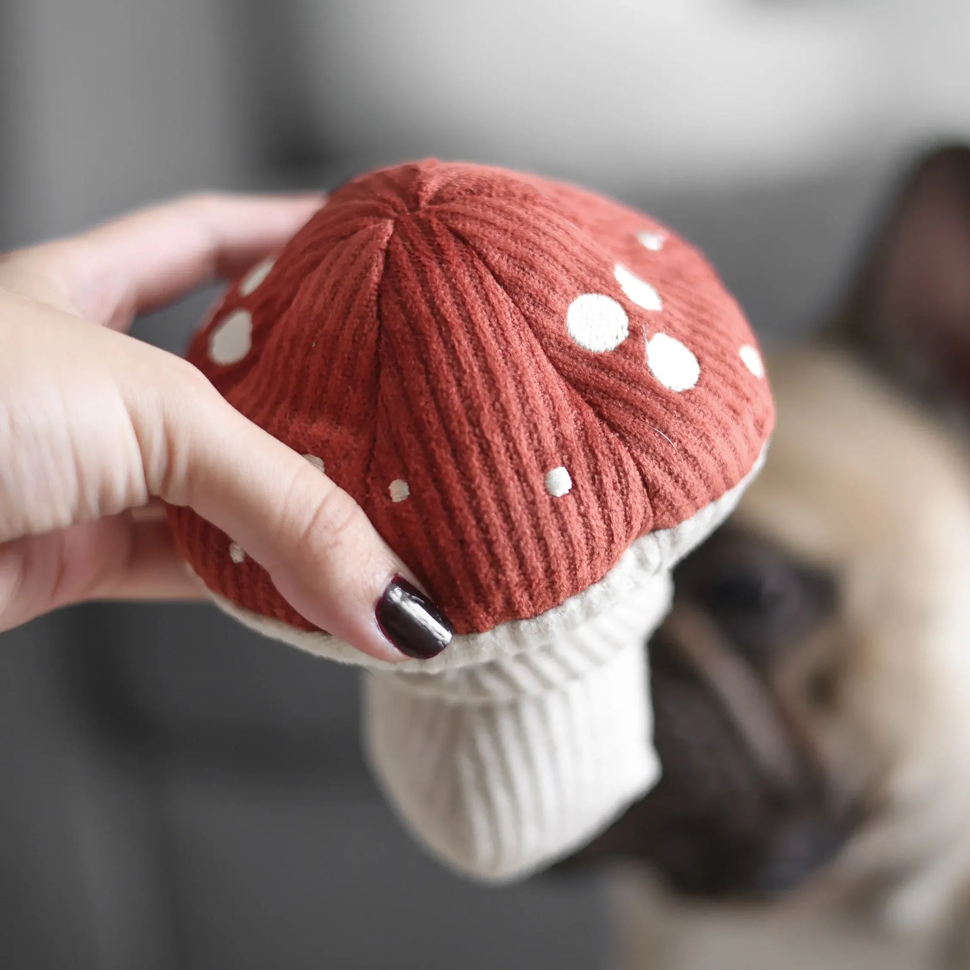 SHROOM - Snuffle Mushroom