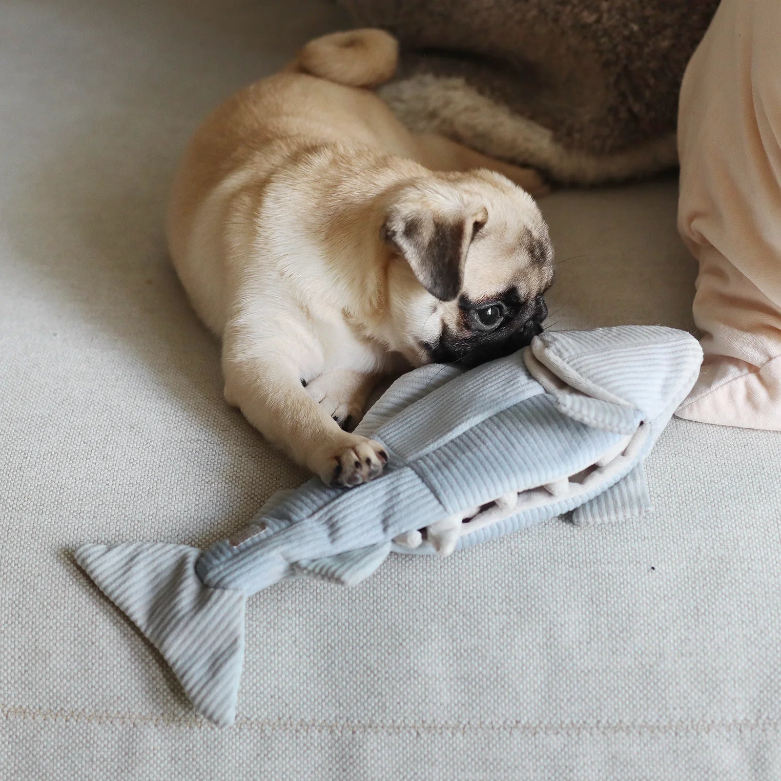 Trout - 2 in 1 Burrow + Snuffle