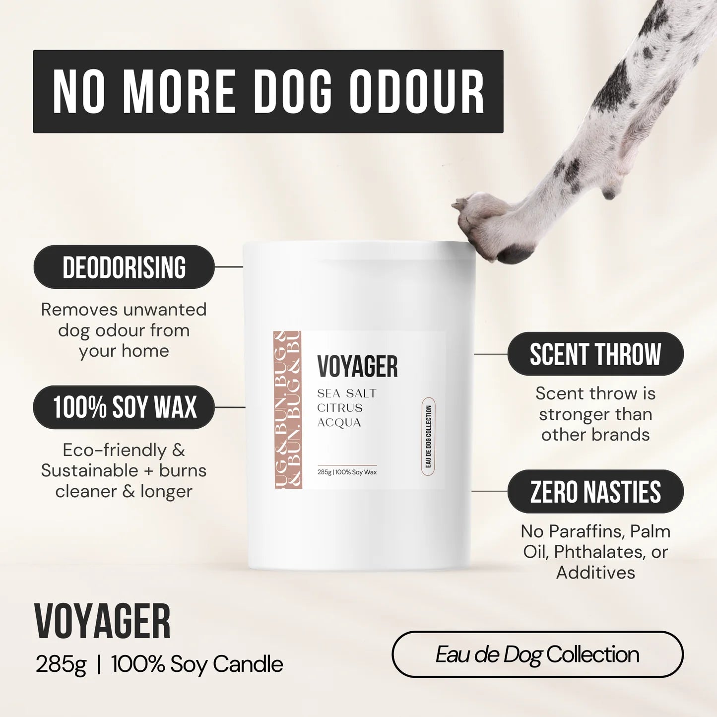 Voyager Soy Candle 210g - Sea Salt, Citrus & Acqua