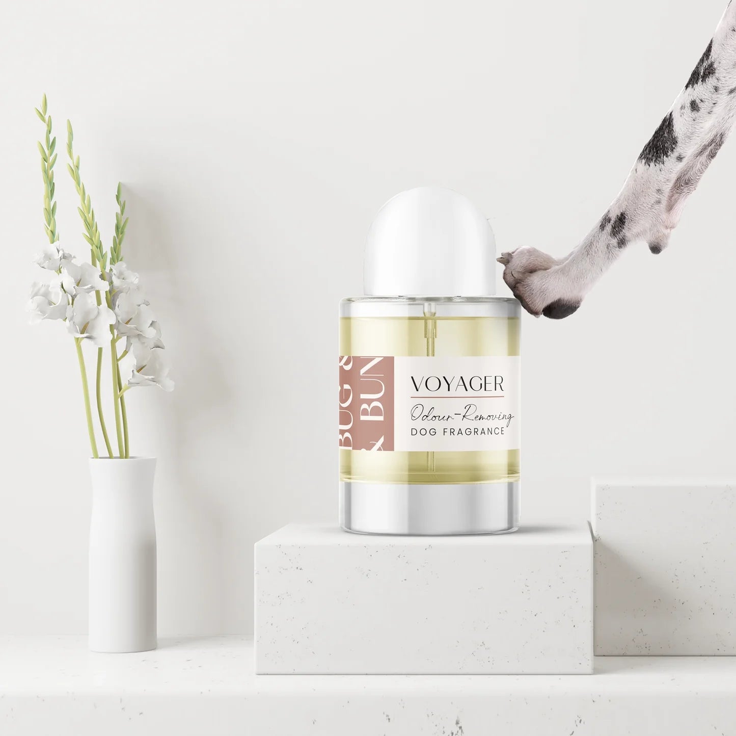 Voyager Dog Fragrance - Sea Salt, Citrus & Acqua
