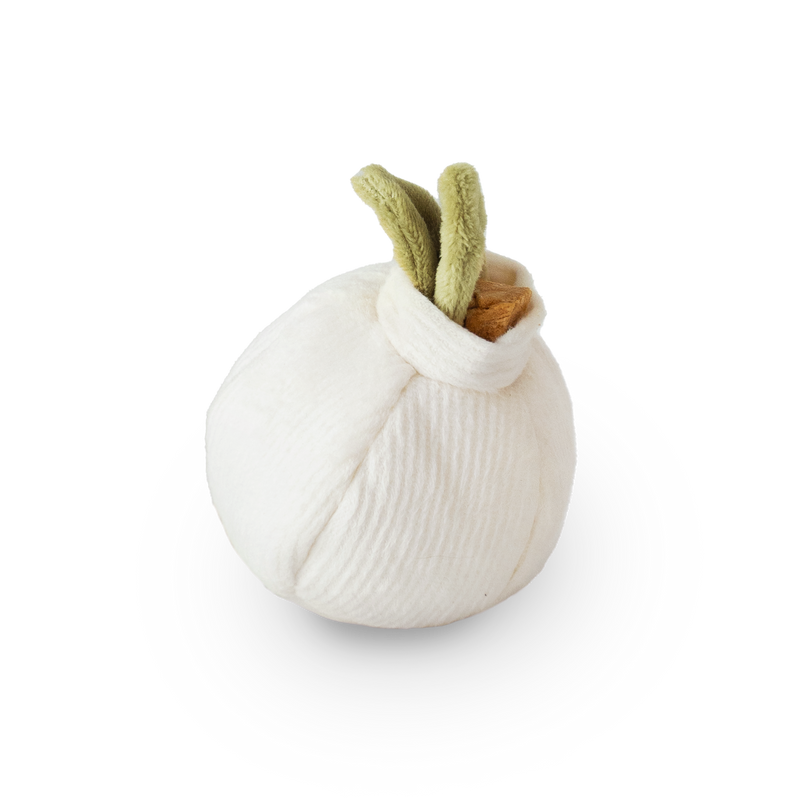 GARLIC POP - bouncy + squeaky