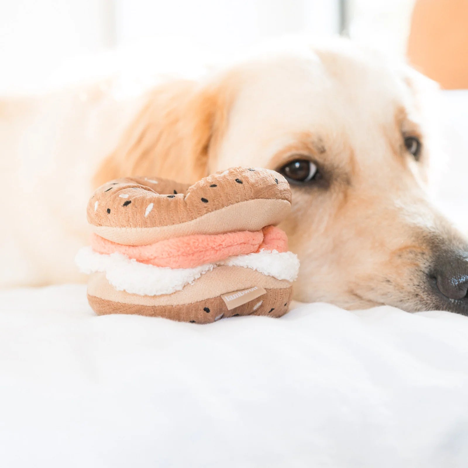 Bagel & Pickle - Snuffle + Squeaky