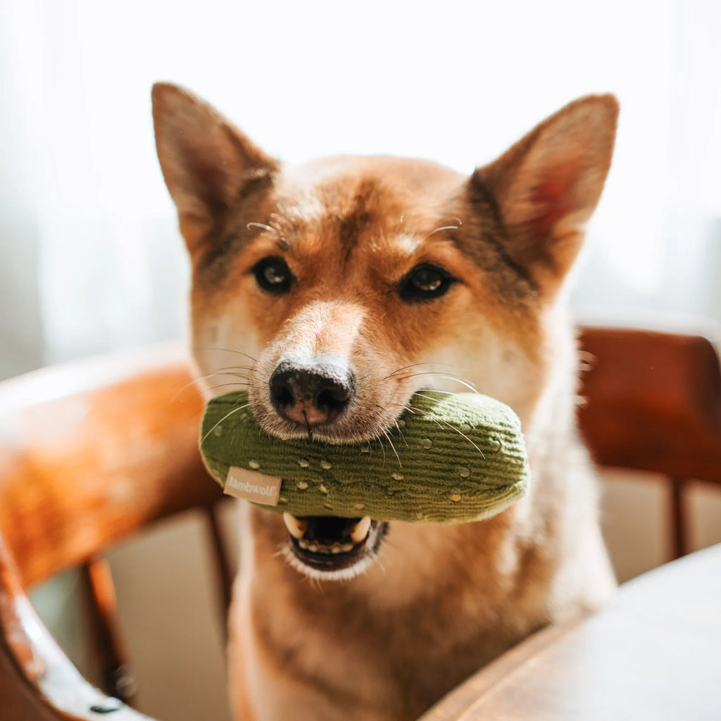 Bagel & Pickle - Snuffle + Squeaky