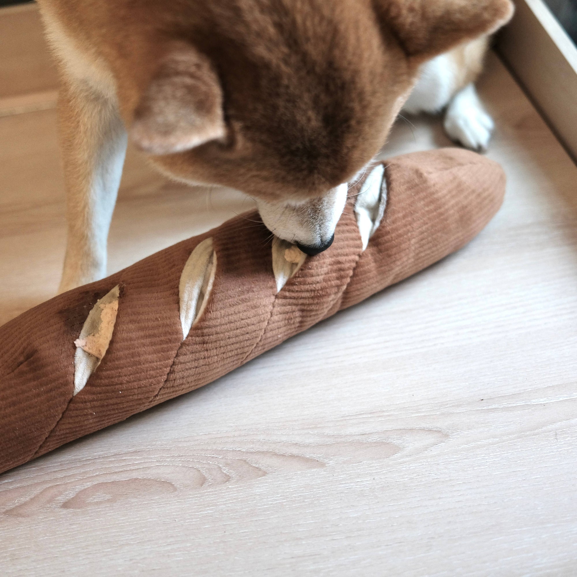 Large Baguette - Squeaky + Snuffle
