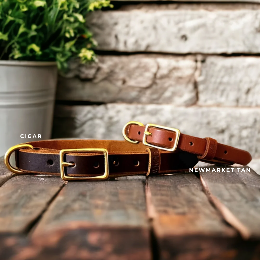 Leather Collar