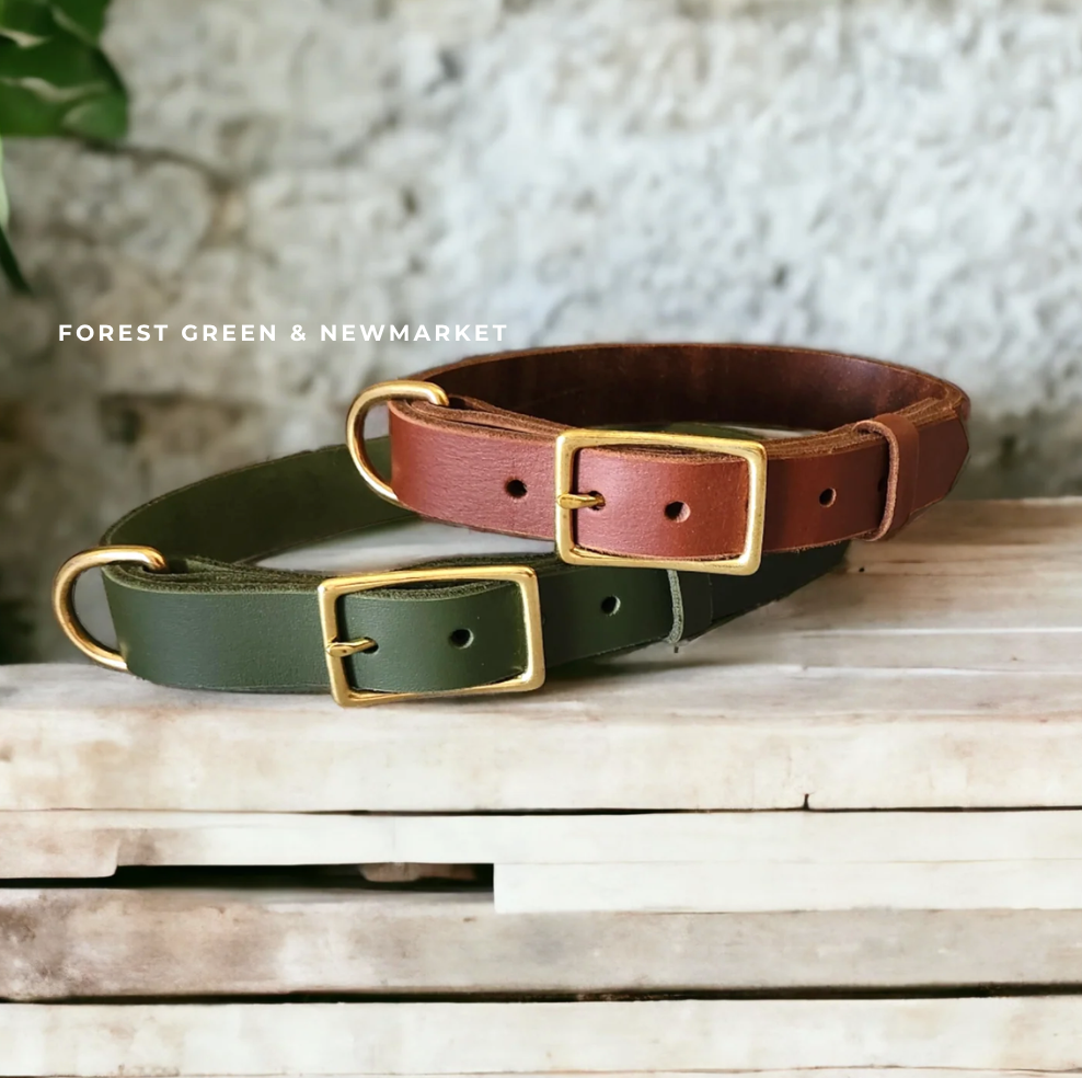 Leather Collar