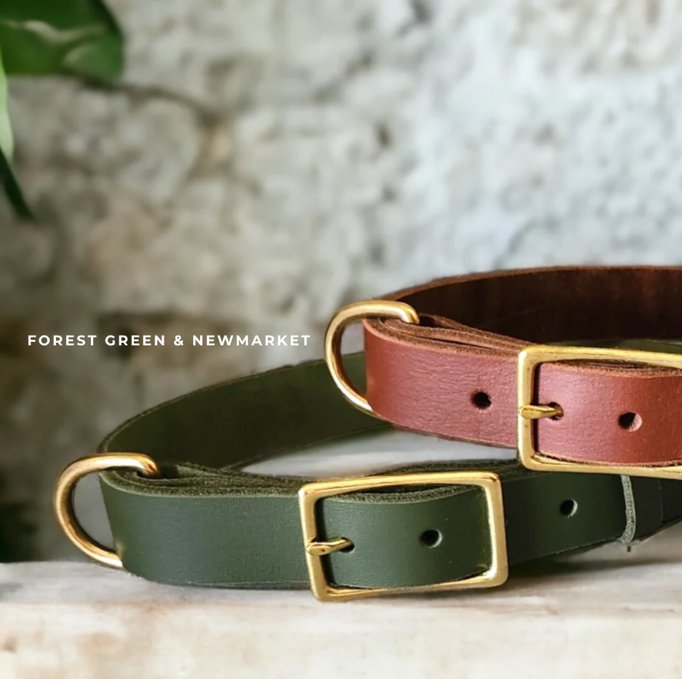 Dog Leash Kangaroo Leather Dog Collar Braided Leather Plaited Dog