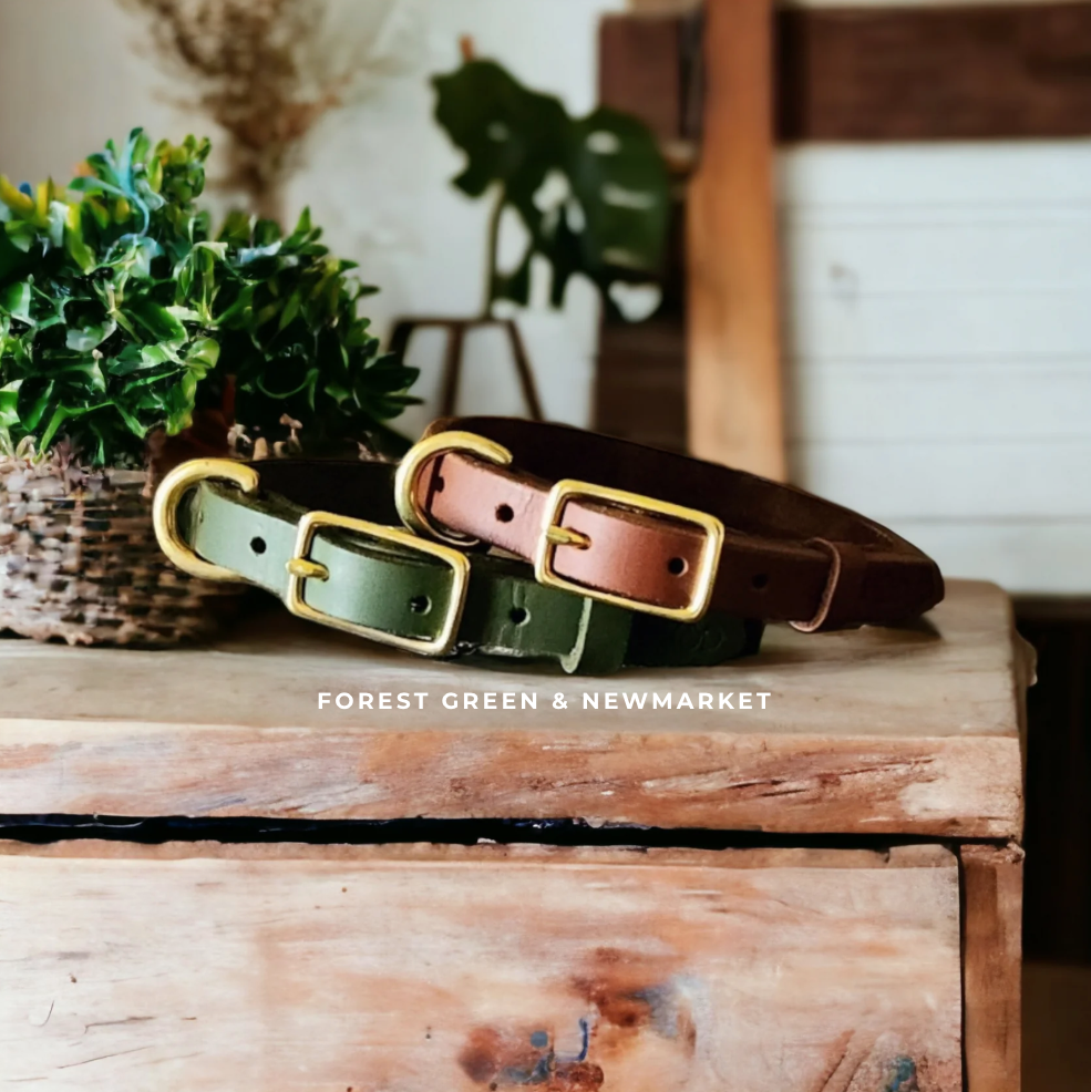 Leather Collar