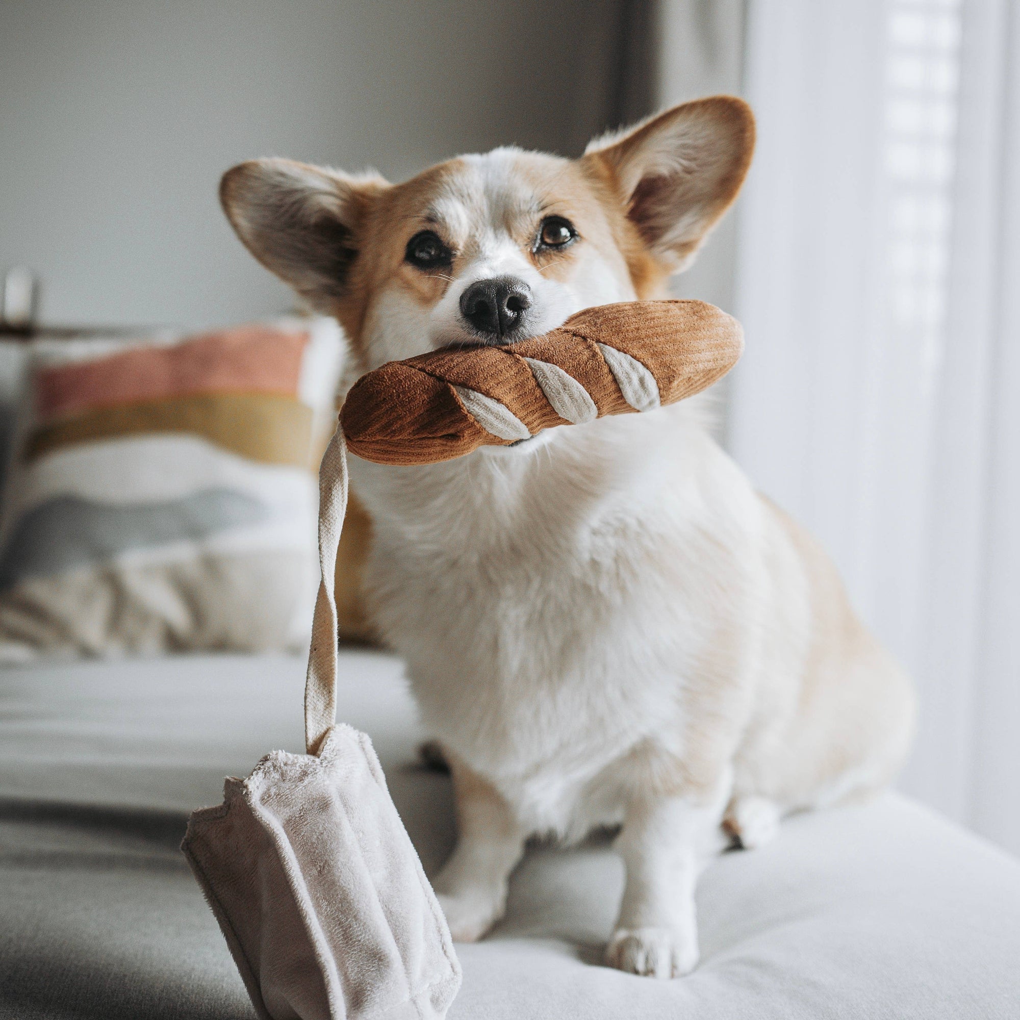 Mini Baguette - Crinkly Paper Bag + Squeaky