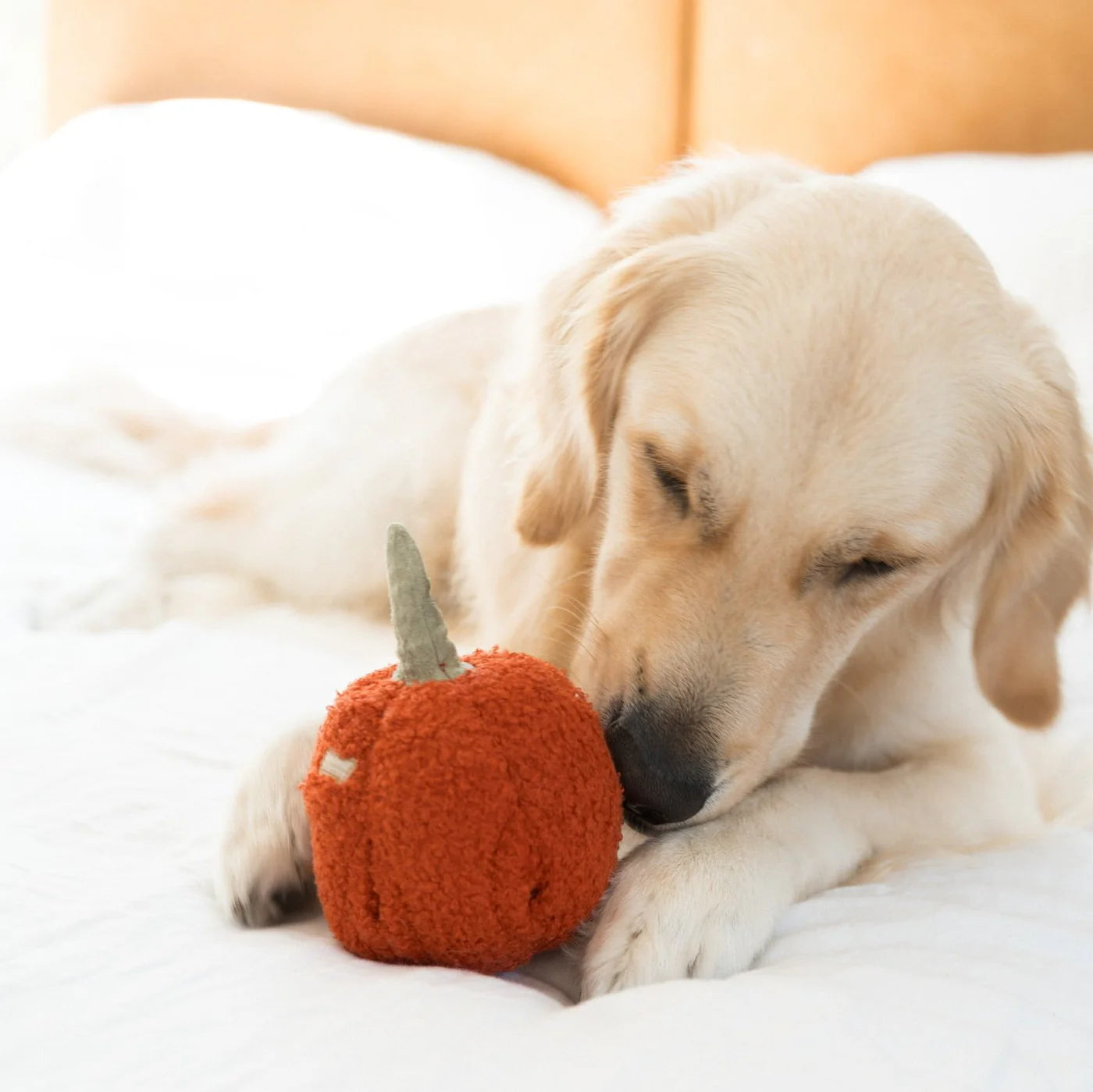 Red Pepper - Snuffle + Squeaky