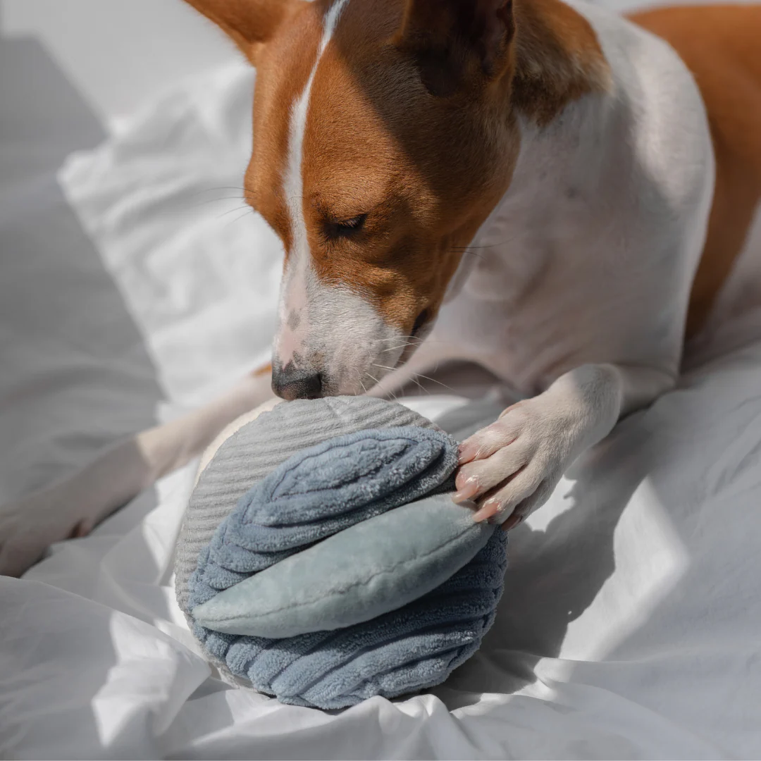 Toto in Marine - Squeaky Snuffle Ball