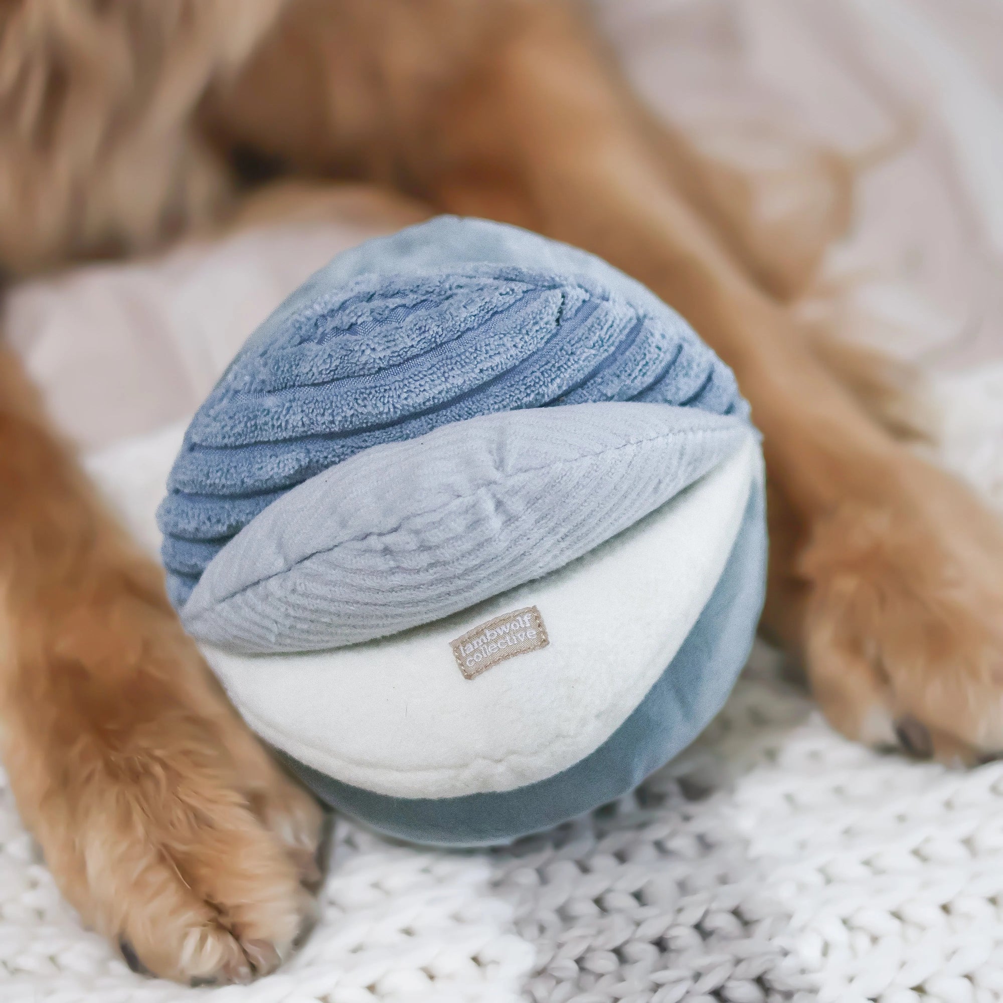 Toto in Marine - Squeaky Snuffle Ball