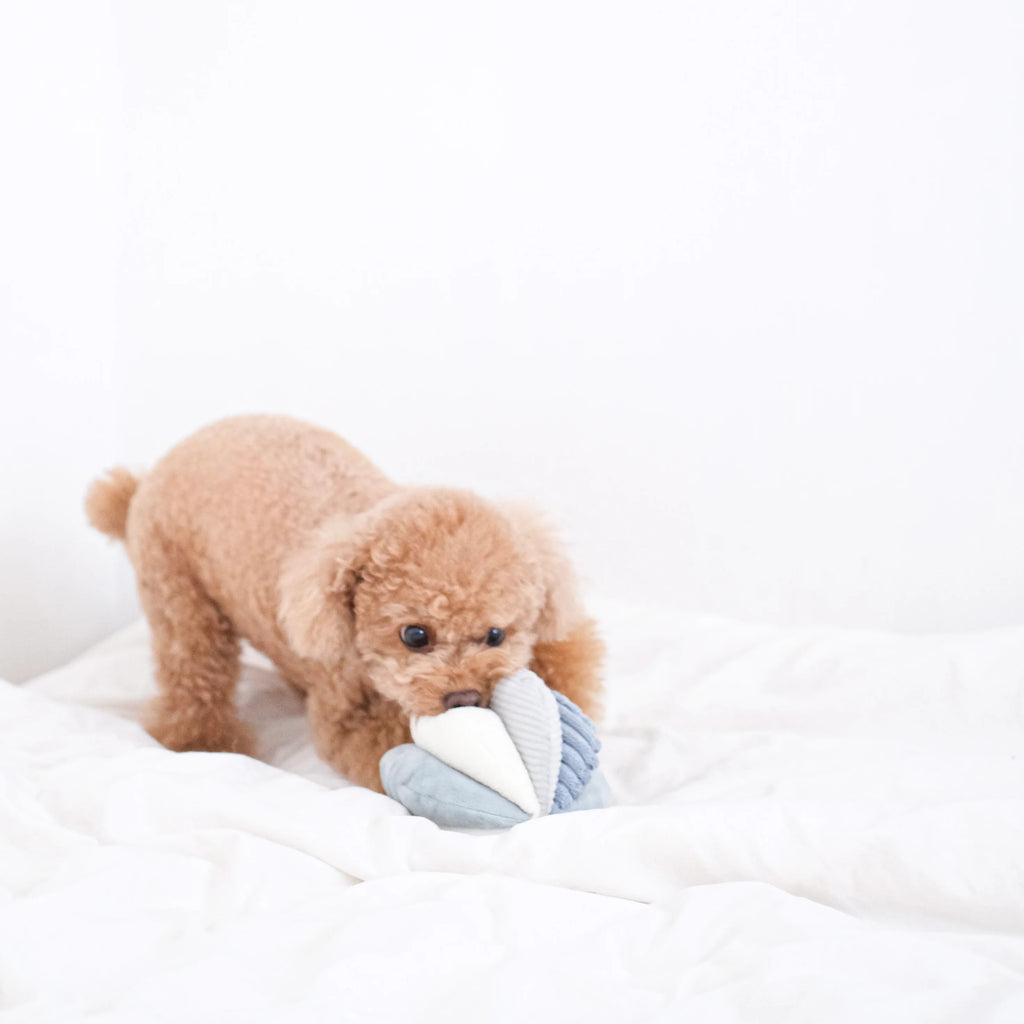 Toto in Marine - Squeaky Snuffle Ball