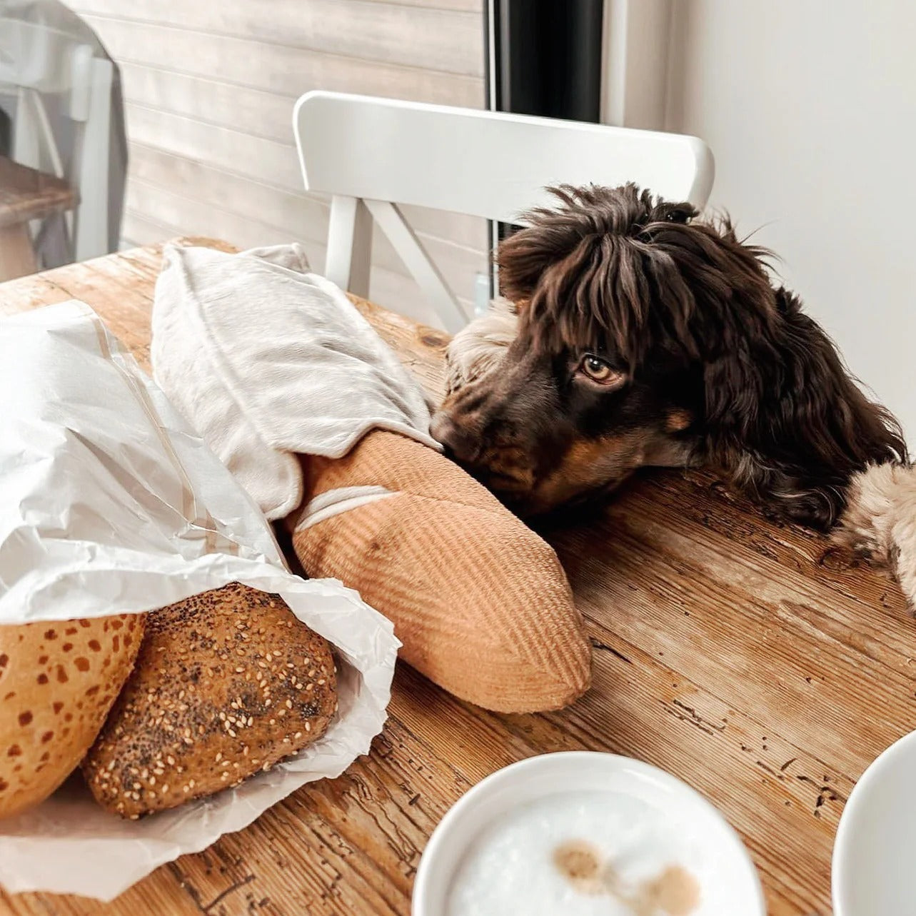 Large Baguette - Squeaky + Snuffle