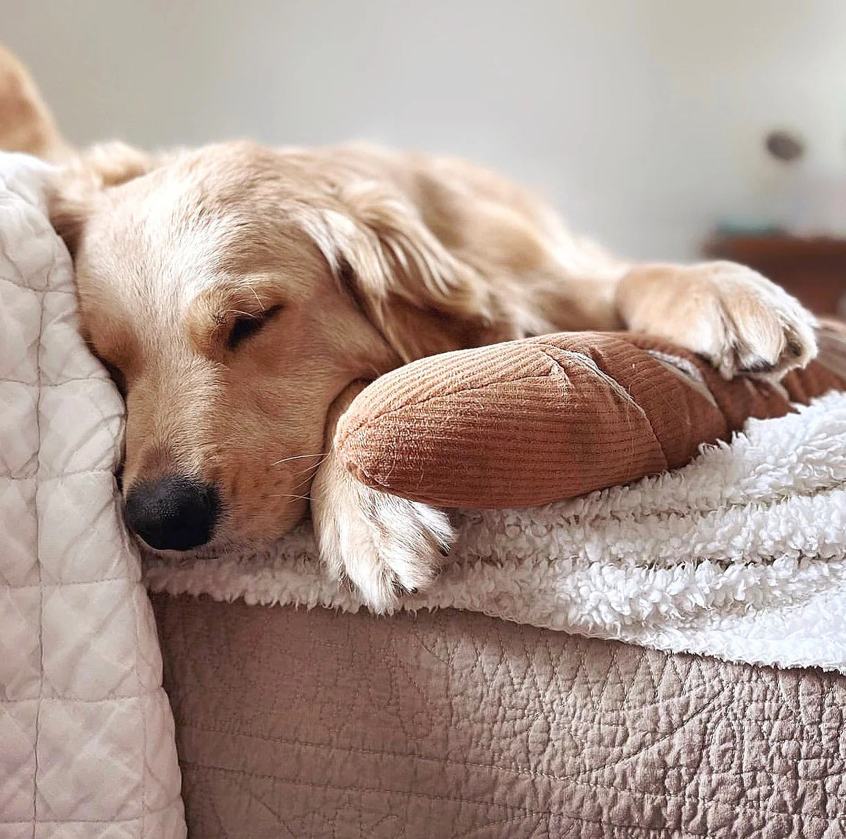 Large Baguette - Squeaky + Snuffle
