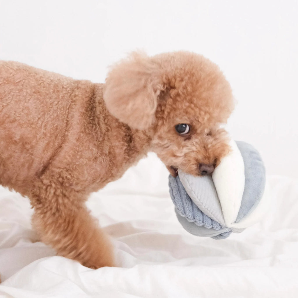 Toto in Marine - Squeaky Snuffle Ball