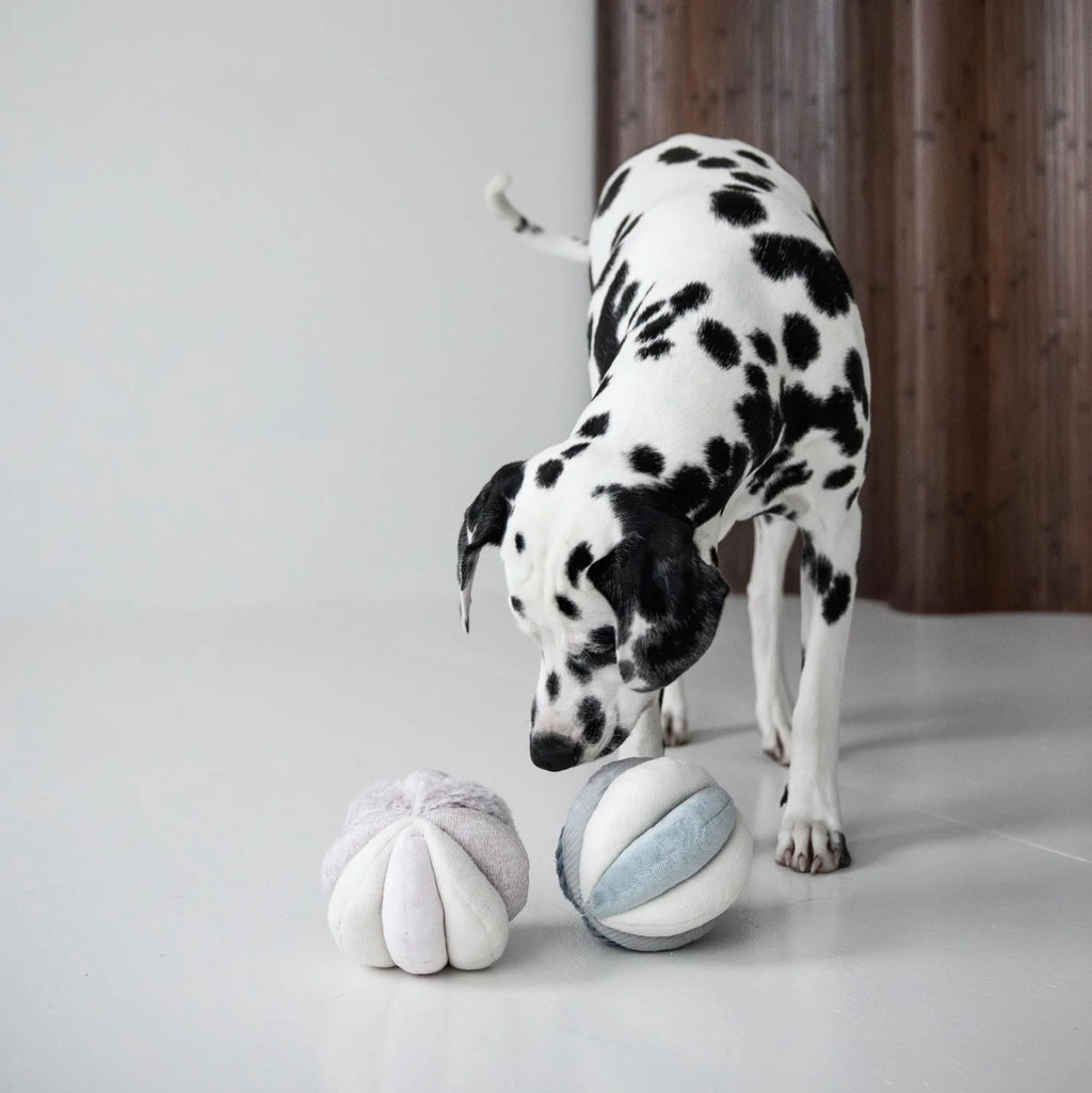 Toto in Marine - Squeaky Snuffle Ball