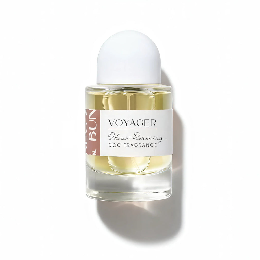 Voyager Dog Fragrance - Sea Salt, Citrus & Acqua