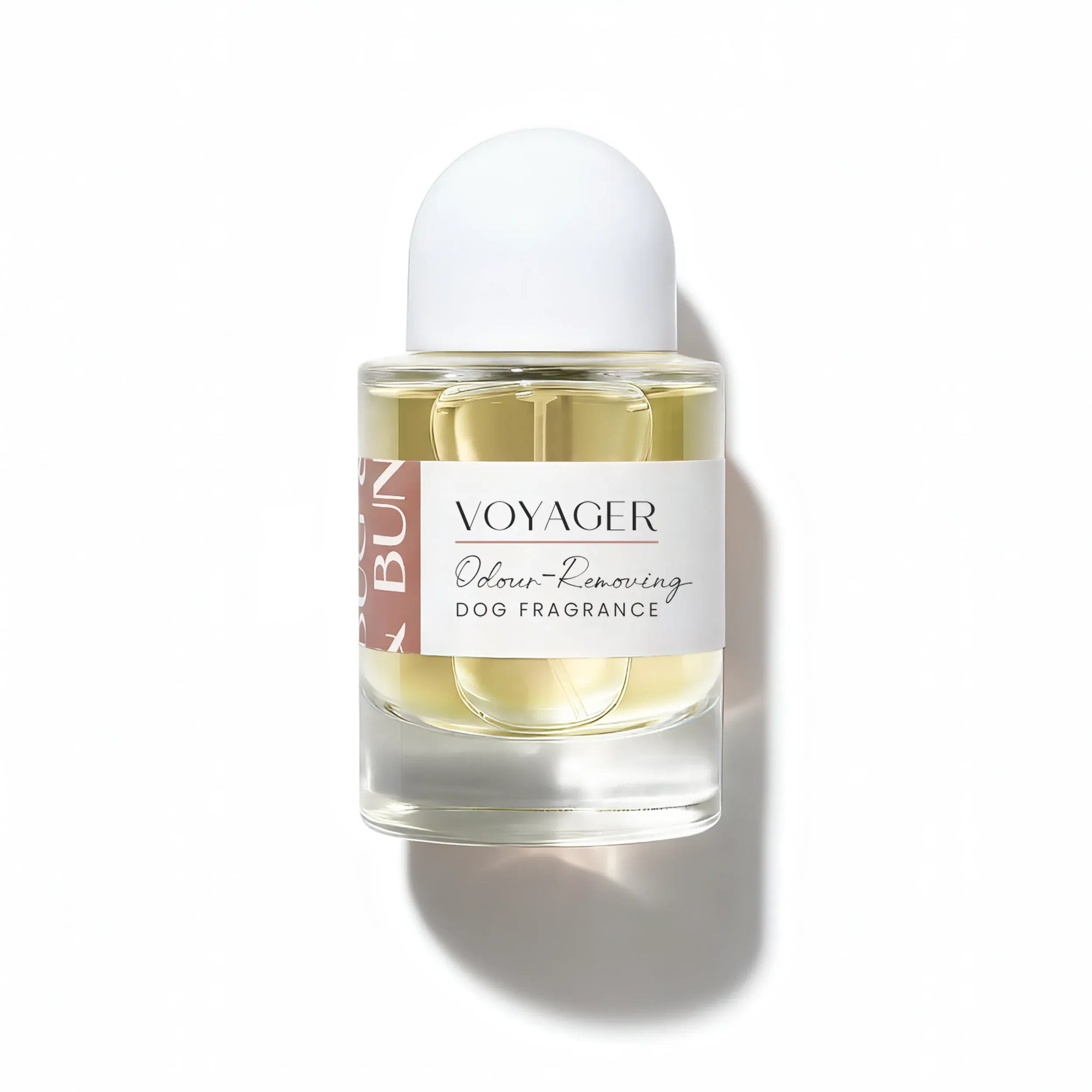 Voyager Dog Fragrance - Sea Salt, Citrus & Acqua
