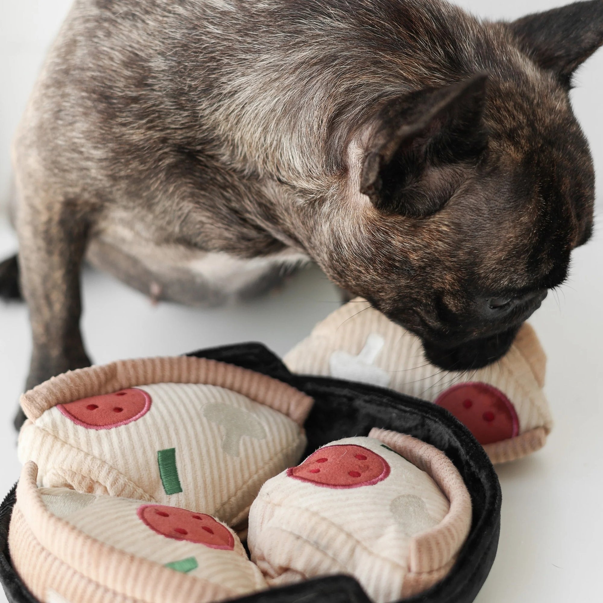 Deep Dish Pizza - Snuffle + Burrow
