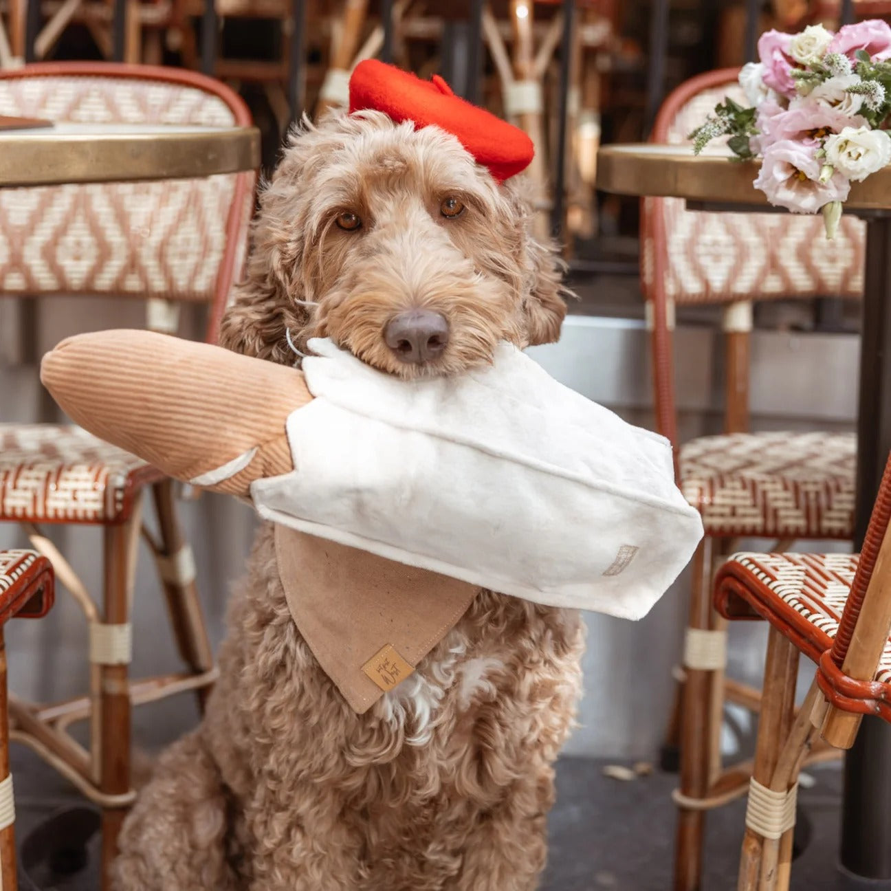 Large Baguette - Squeaky + Snuffle