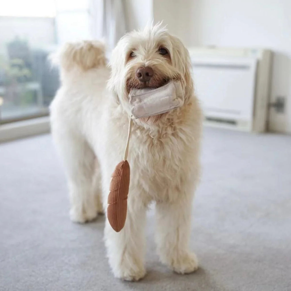 Mini Baguette - Crinkly Paper Bag + Squeaky