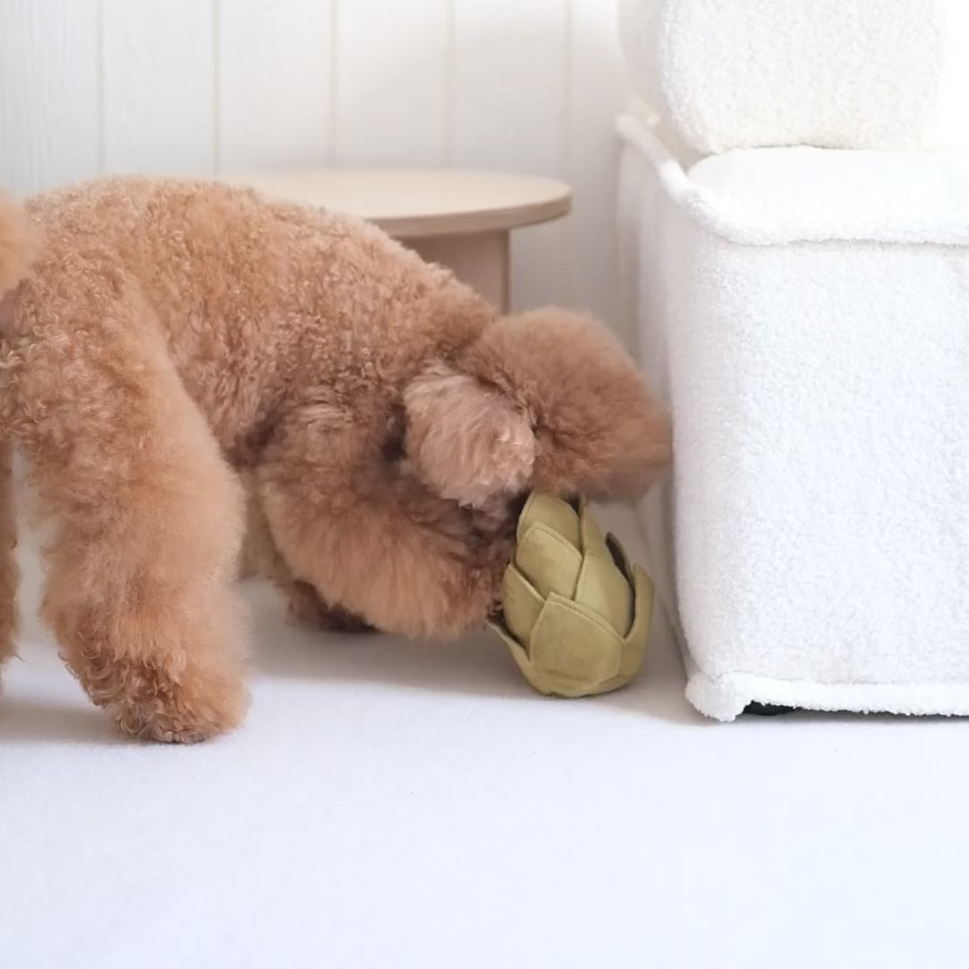 Artichoke - Snuffle + Soft